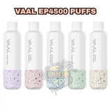 NEW VAAL EP-4500 Rechargeable Disposable