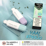 VAAL EP4500 Rechargeable Disposable 4500 Puffs