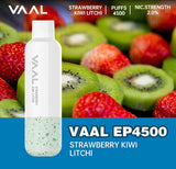 NEW VAAL EP-4500 Rechargeable Disposable